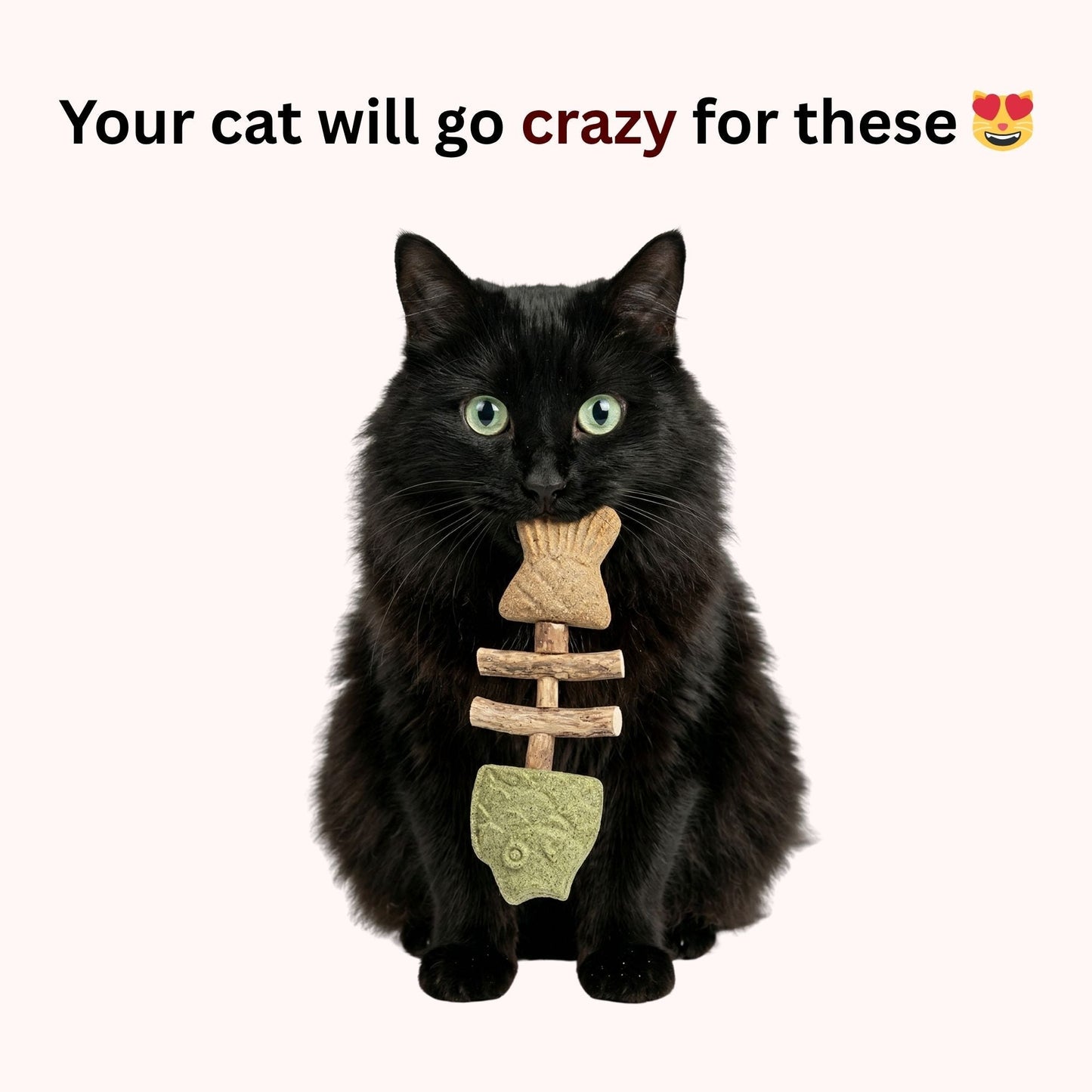 2026 Sterling EInuvo™ Catnip & Silvervine Chew