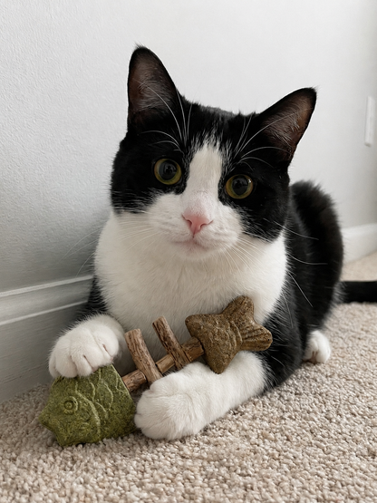 2026 Sterling EInuvo™ Catnip & Silvervine Chew