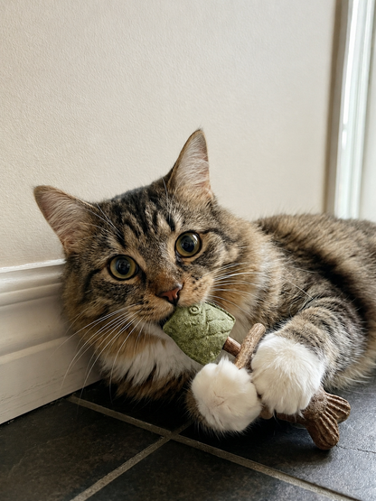 2026 Sterling EInuvo™ Catnip & Silvervine Chew