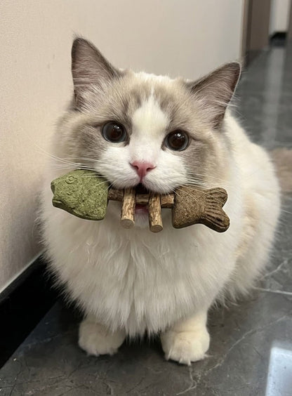 2026 Sterling EInuvo™ Catnip & Silvervine Chew