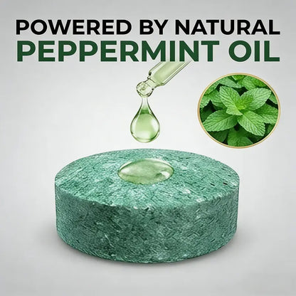12-Pack Natural Peppermint & Lemon Rodent Repellent Balls - Safe Pest Control for Home & Garden